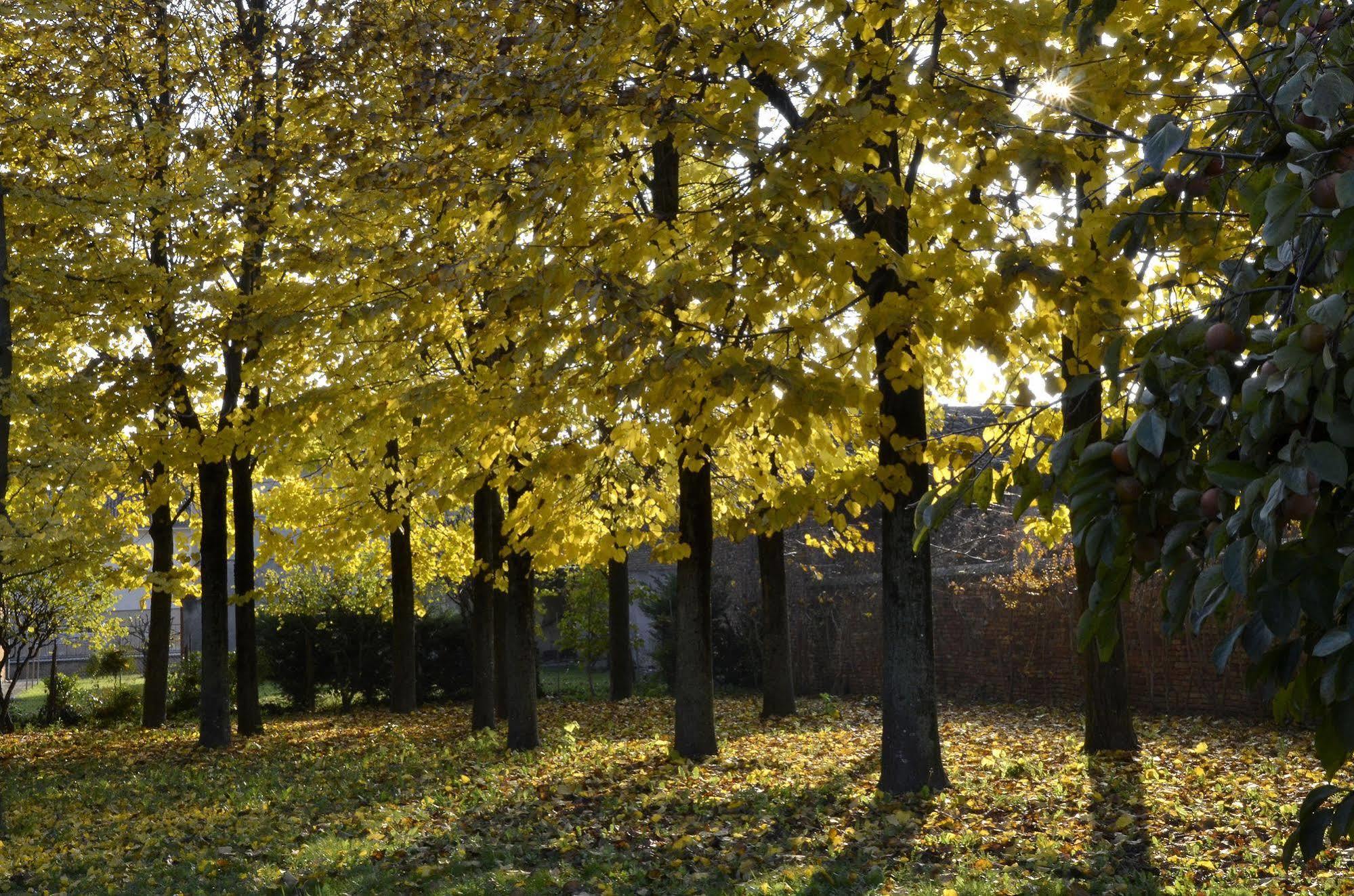 9 Muse Bed And Breakfast Canneto sull'Oglio Exterior foto